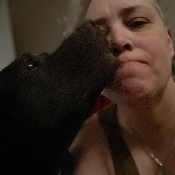 Meet your Posher, Darci - Picture 4 of 5